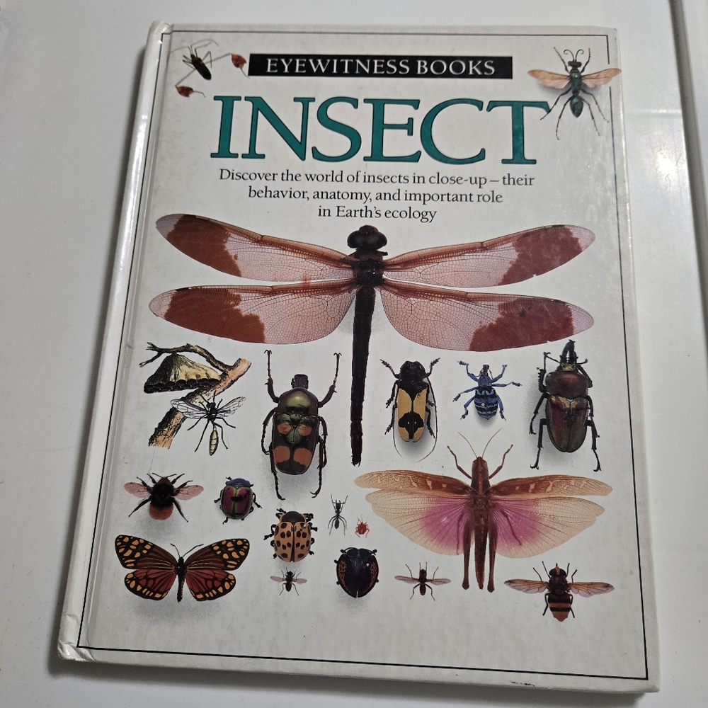 Insect Eyewitness Books Hardcover By Dorling Kindersley Ltd
